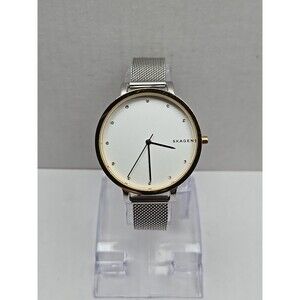 Skagen Hagen SKW2661 Womens 34mm Gold Silver Tone Mesh Quartz Watch New Battery